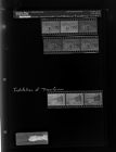 Group at a lake; Installation of transformer (9 Negatives) (March 31, 1966) [Sleeve 97, Folder c, Box 39]
